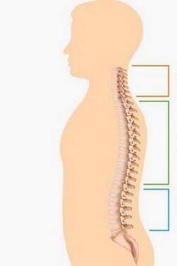 derrota por osteocondrosis de diferentes partes de la columna vertebral